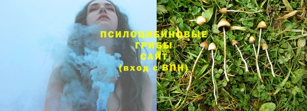 МДПВ Приозерск