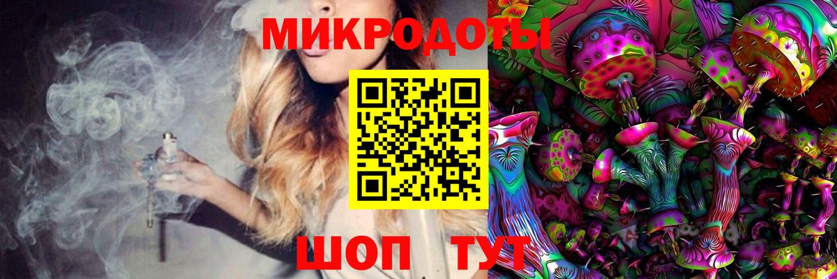 Псилоцибиновые грибы Psilocybine cubensis Усть-Кут